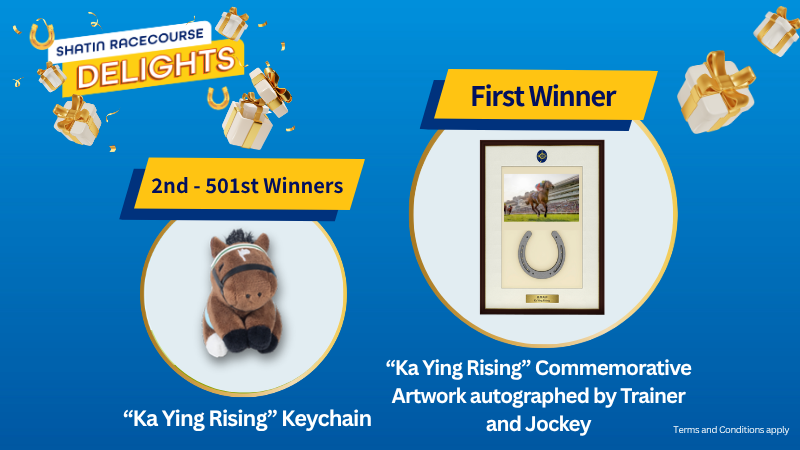 S2526-0406_Discover_EN