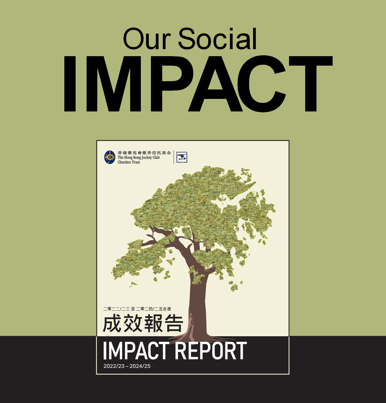 ImpactReport_CCH_Banner_Desktop_EN_Row2
