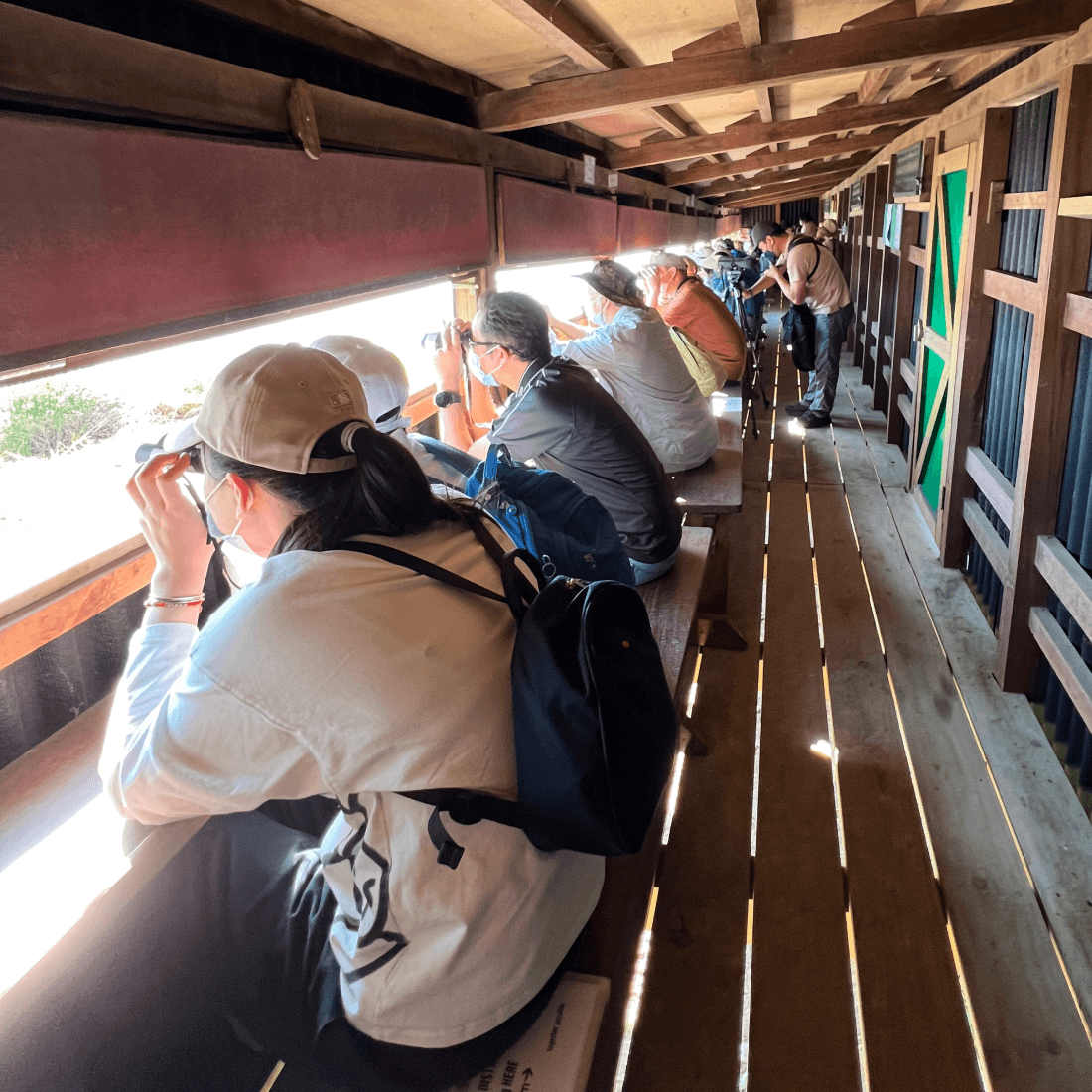 mai po nature reserve infrastructure upgrade project