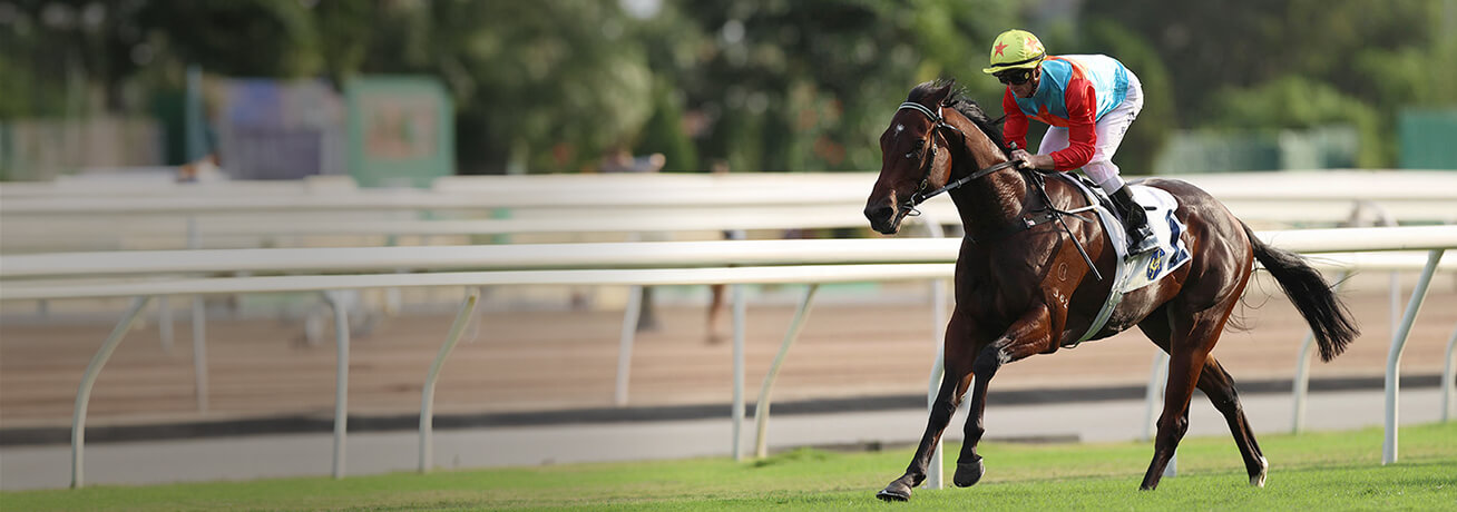 home-discover-hkjc-rc-mobile