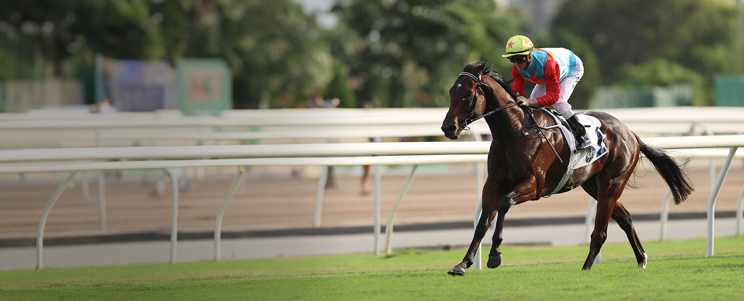 home-discover-hkjc-rc