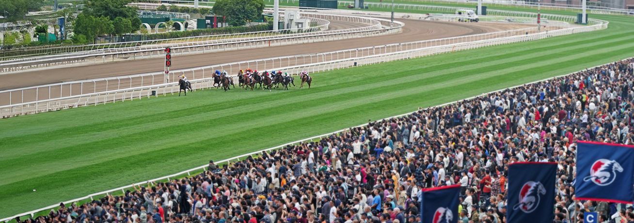 home-discover-hkjc-reh-mobile-v2