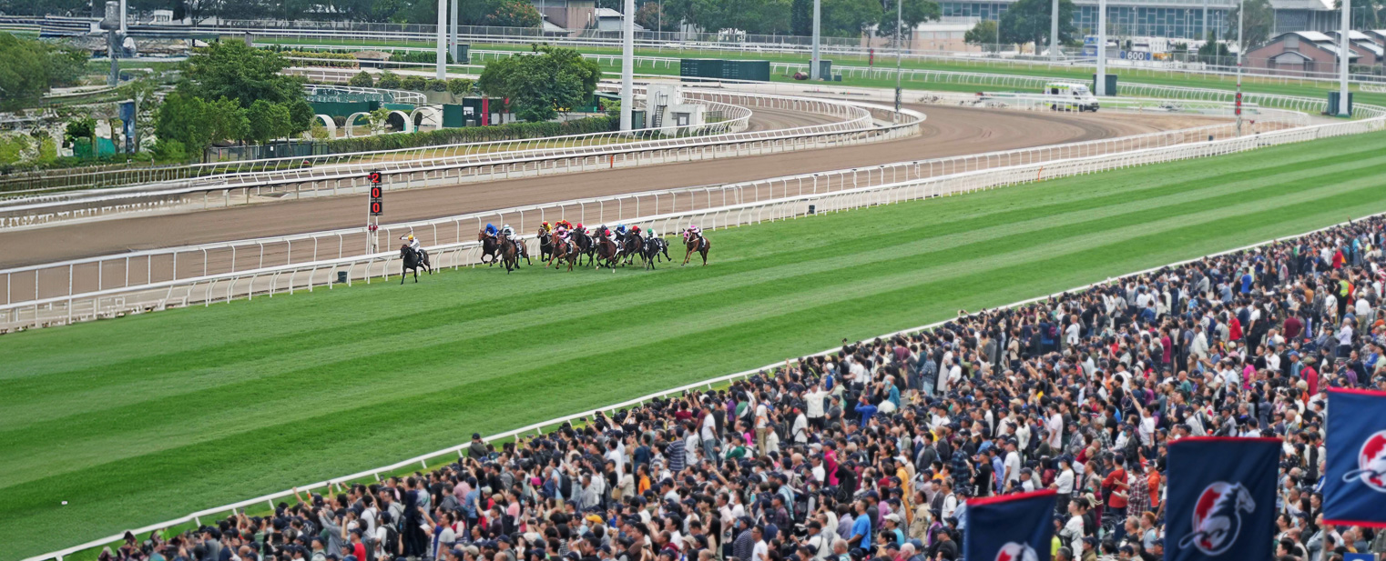 home-discover-hkjc-reh-v2