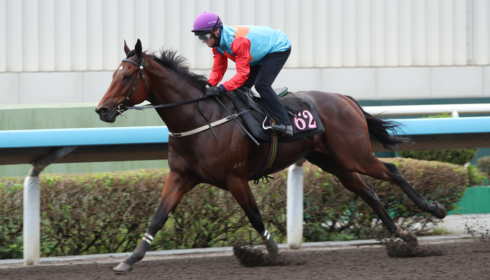 news_2025111401454_686x392