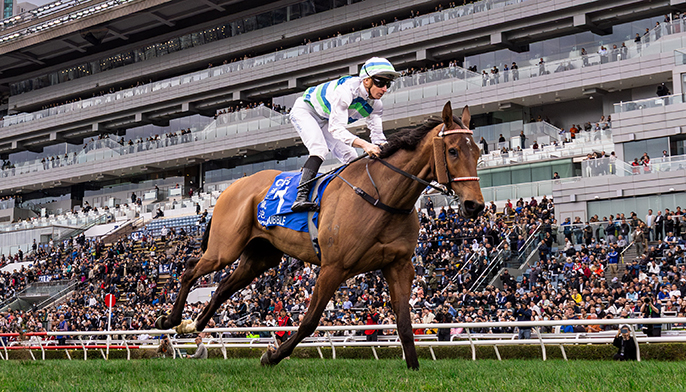 news_2025111901024_01_686x392