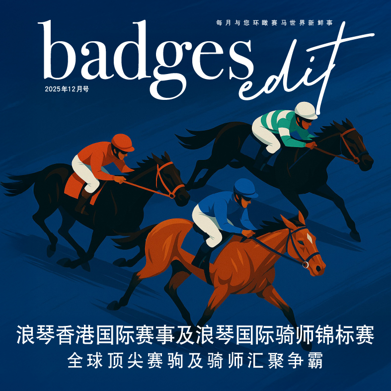 badges_202512_393-393-cn