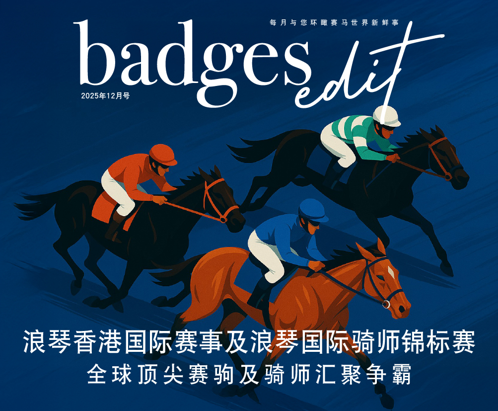 badges_202512_501-413-cn