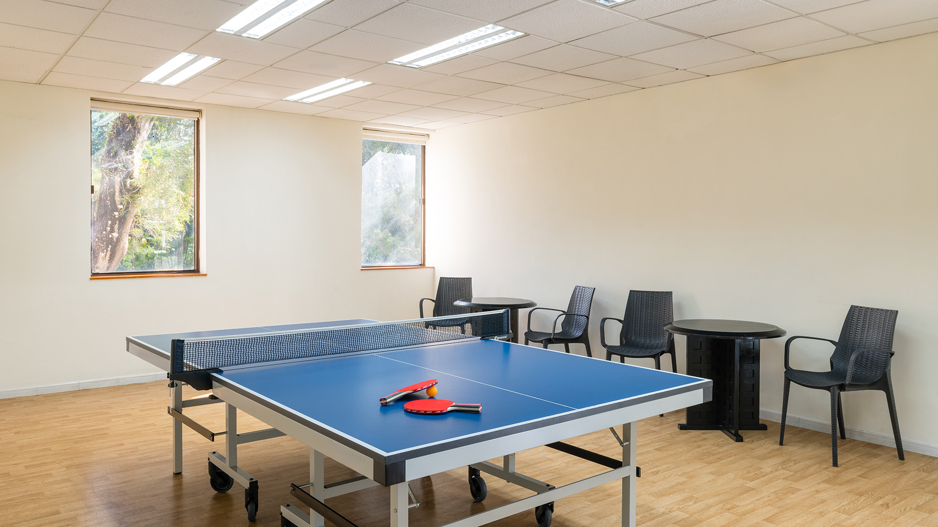 Table Tennis Room