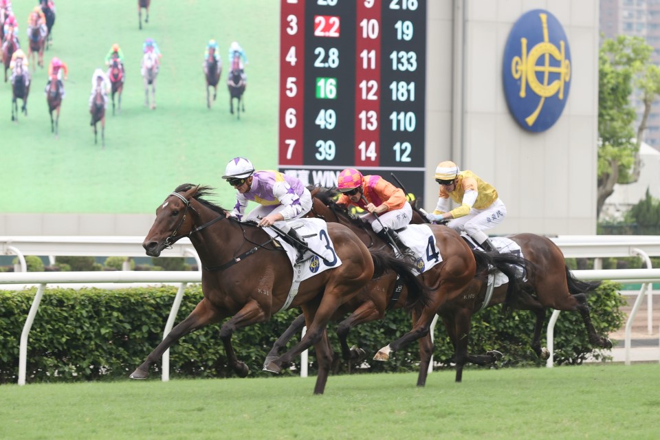 GoRacing_PromoBanner