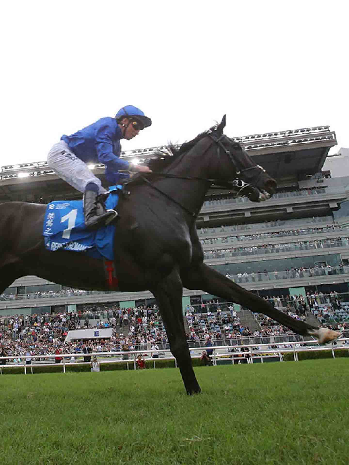 Gearing Up to G1 Glory