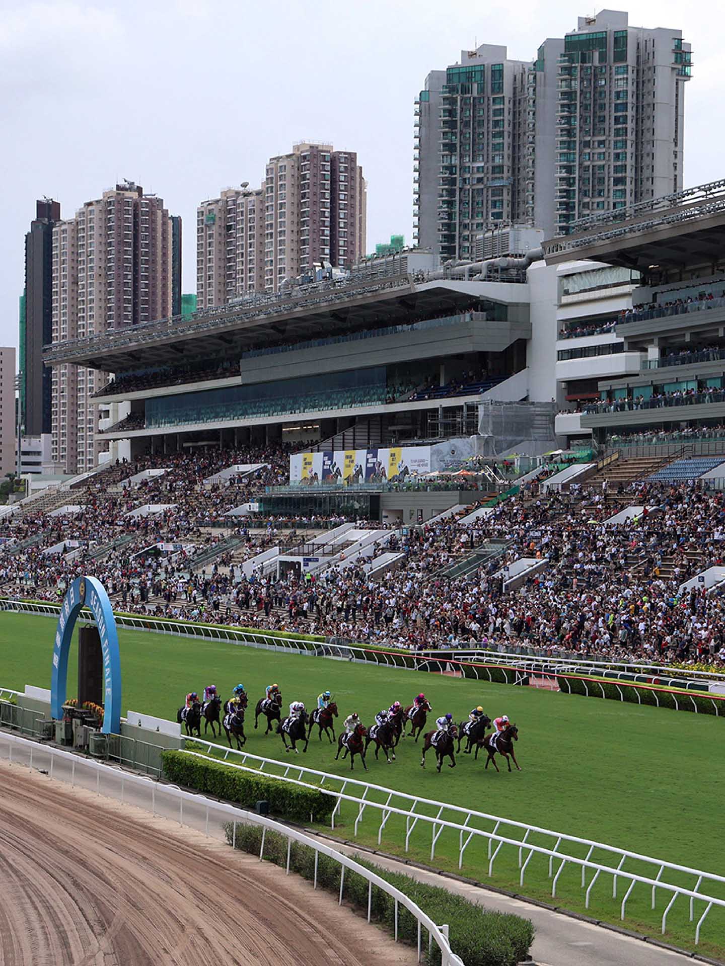 香港馬壇巨星為賽季添色彩