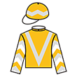 金元寶馬 騎師彩衣