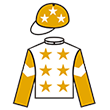 智理共想 騎師彩衣