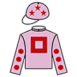 禪勝寶駒 騎師彩衣