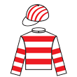 勝靈之駒 騎師彩衣