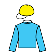 氣勢 騎師彩衣