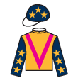 富存寶馬 騎師彩衣
