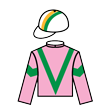 駿皇勝 騎師彩衣