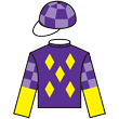 顏色勇士 騎師彩衣