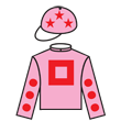 禪勝閃亮 騎師彩衣