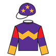 幸運勝利 騎師彩衣