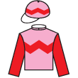 齊大勝 騎師彩衣
