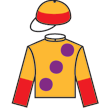 優勝 騎師彩衣