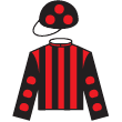醉必勝 騎師彩衣