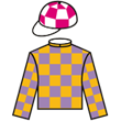 及時取勝 騎師彩衣