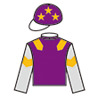 文藝學家 騎師彩衣