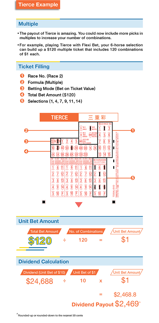 fexibet2012-content-01-e