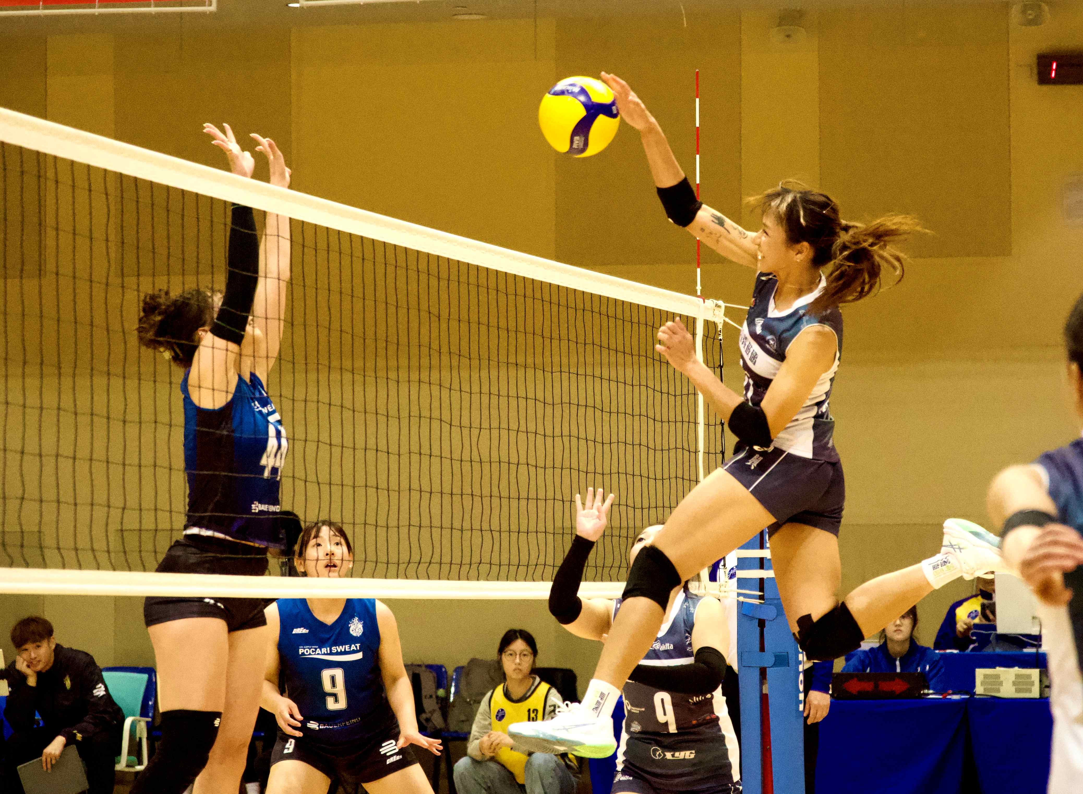 Volleyball-2-pic1