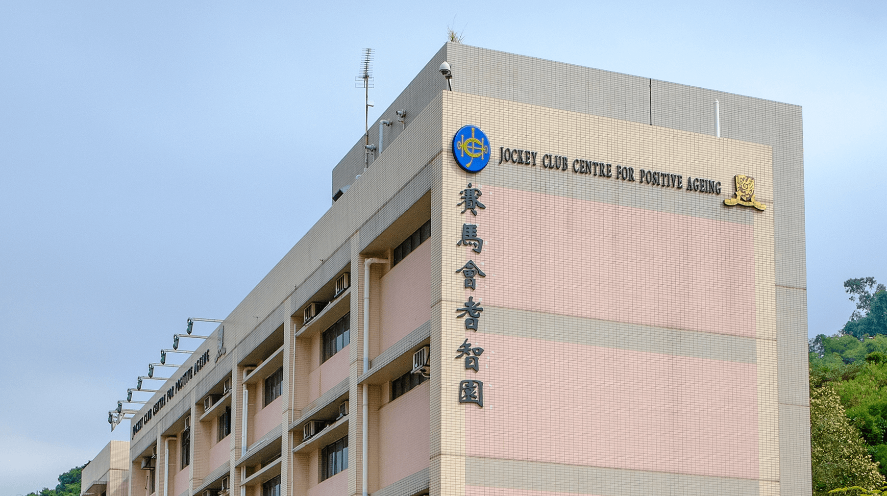 centre for positive ageing banner