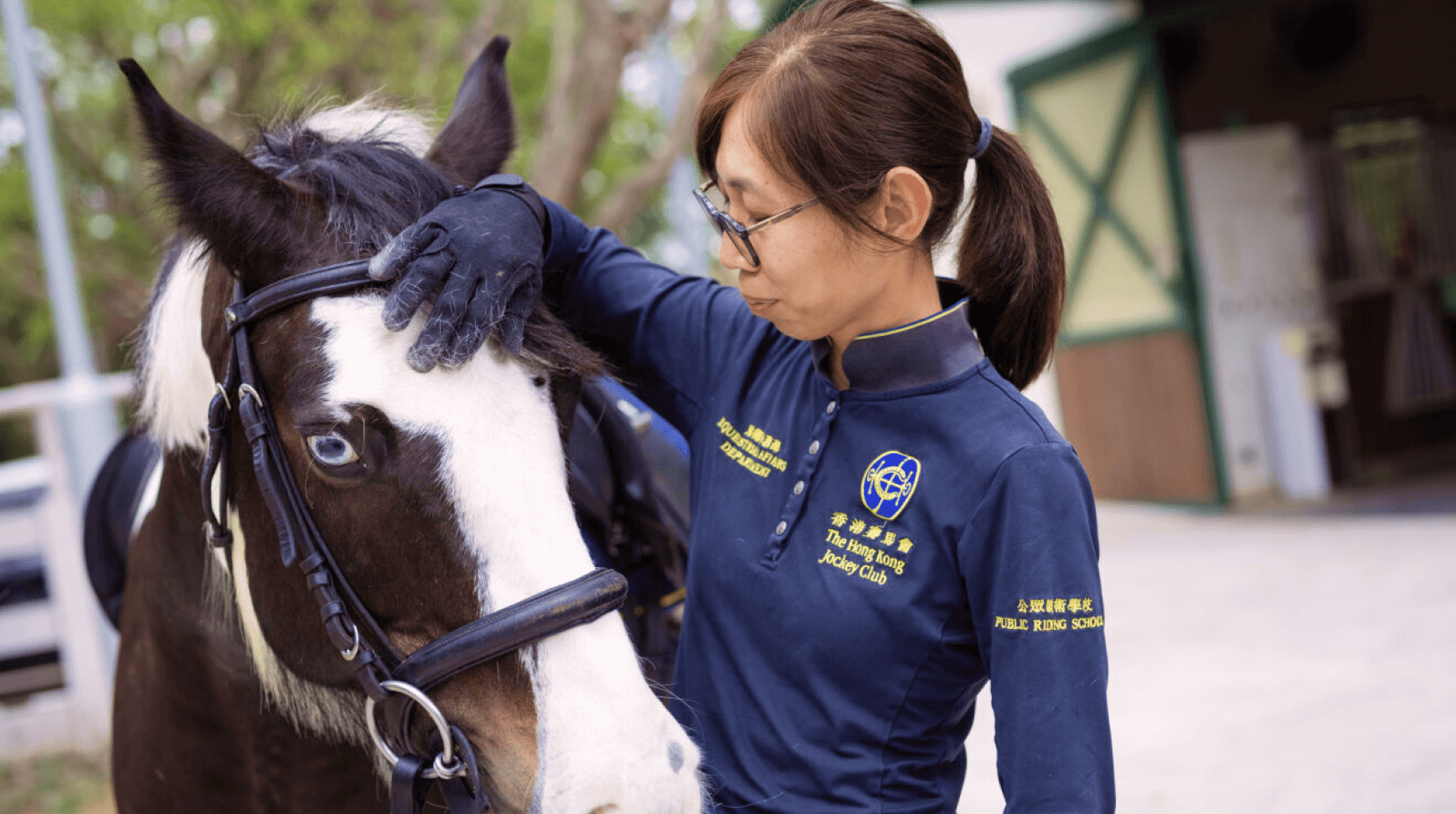 equestrian affairs horse care