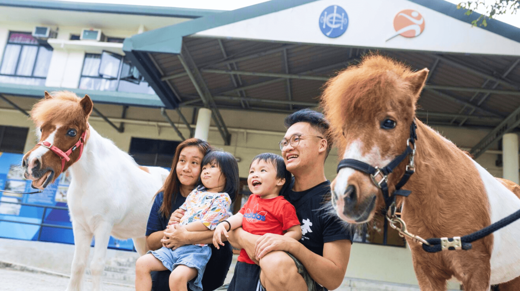 family pony public riding facility