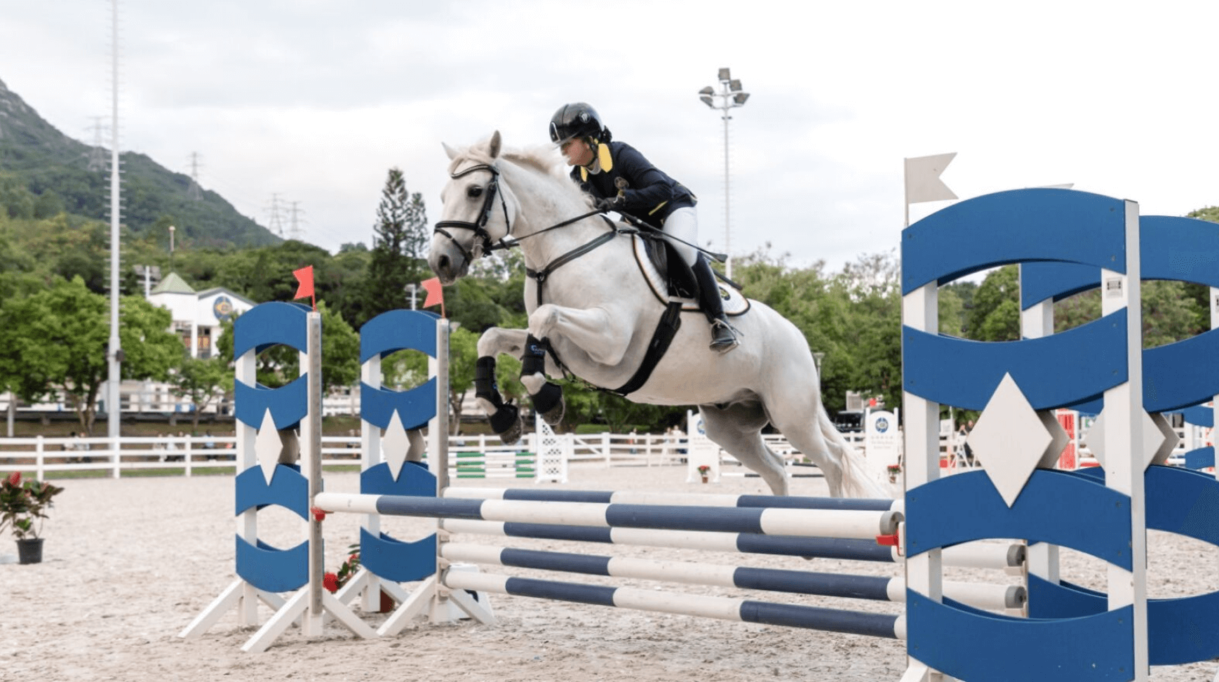 horse jumping equestrian development public facility