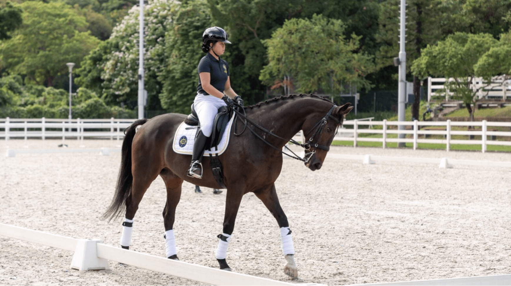 public riding facility equestrian development