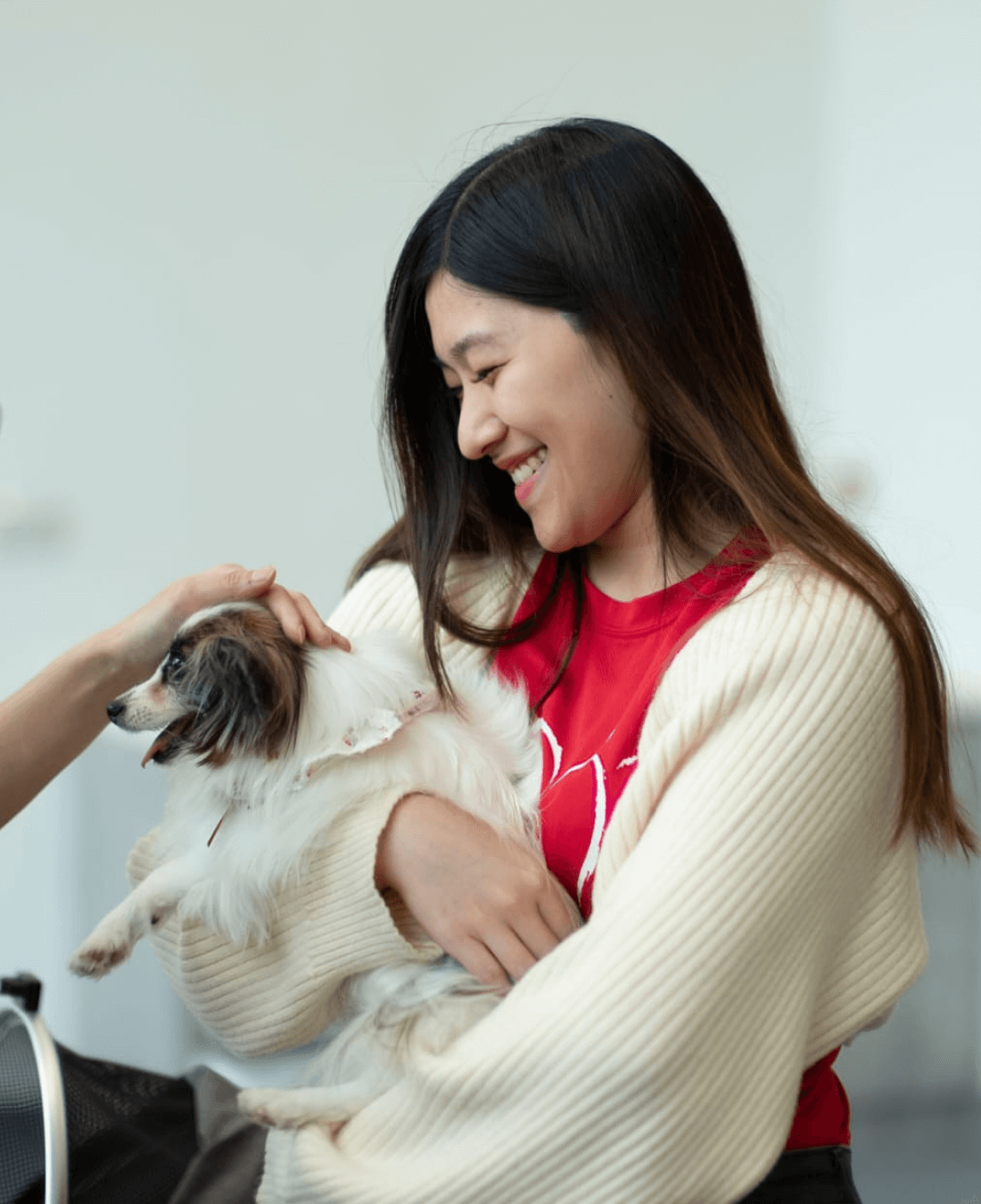 volunteer training SPCA animals
