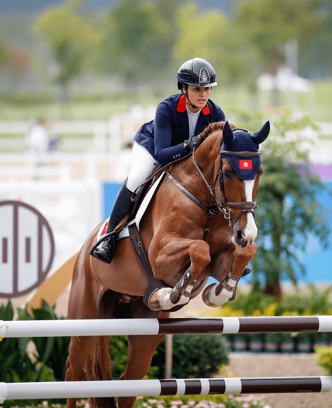 equestrian development tier A HKSI