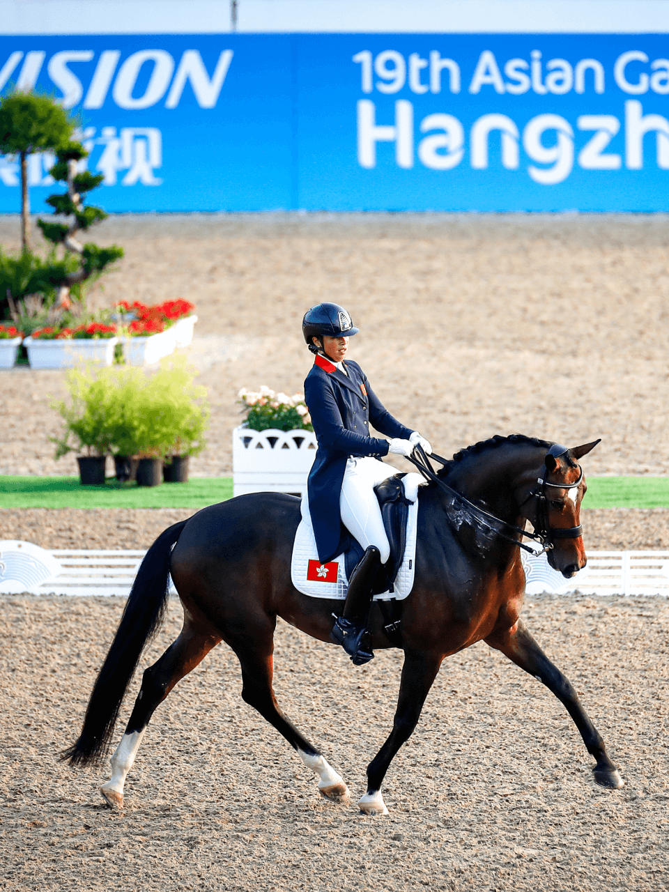 equestrian hangzhou world stage
