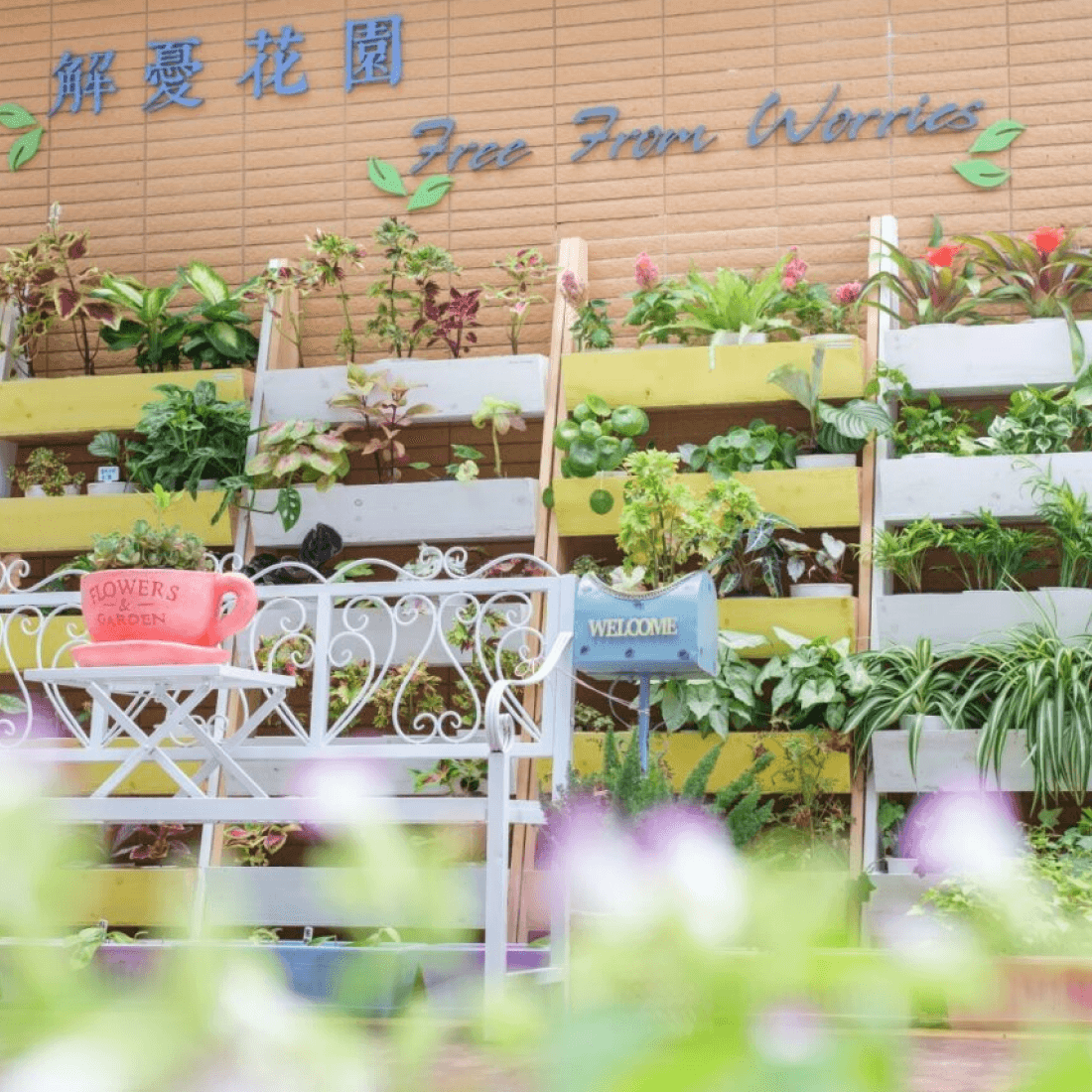 carerer-spaces-free-from-worries-garden