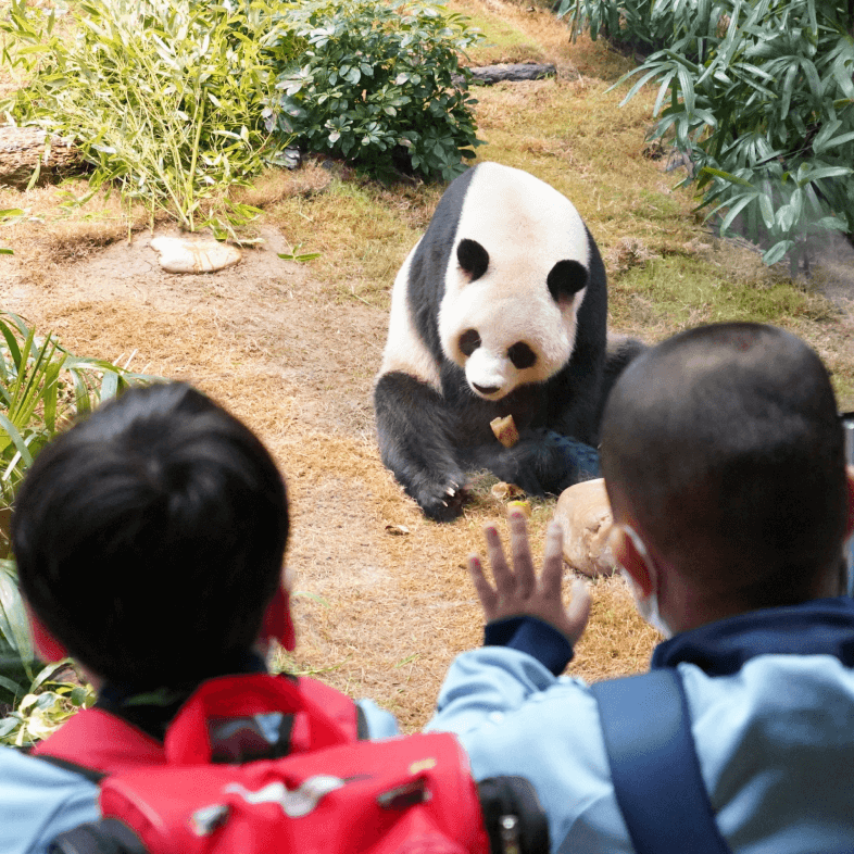 expansion and enhancement of giant panda habitat