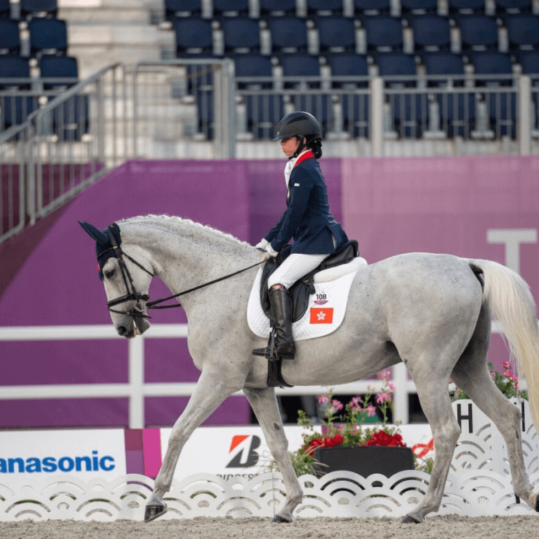 hk equestrian