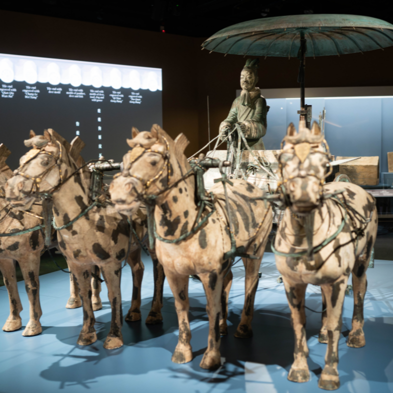 lcsd-exhibition-by-leisure-and-cultural-services-department