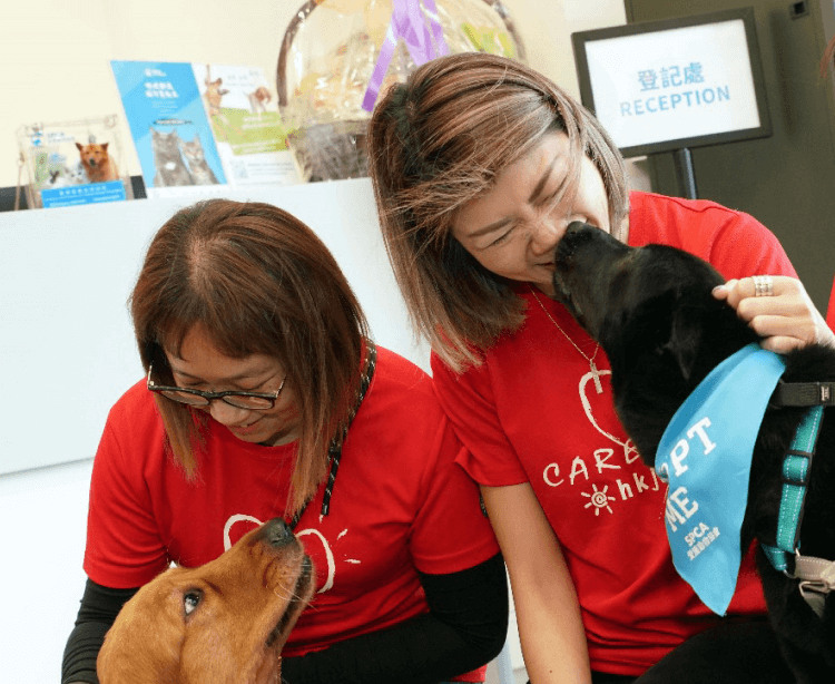 SPCA dog care team with volunteer
