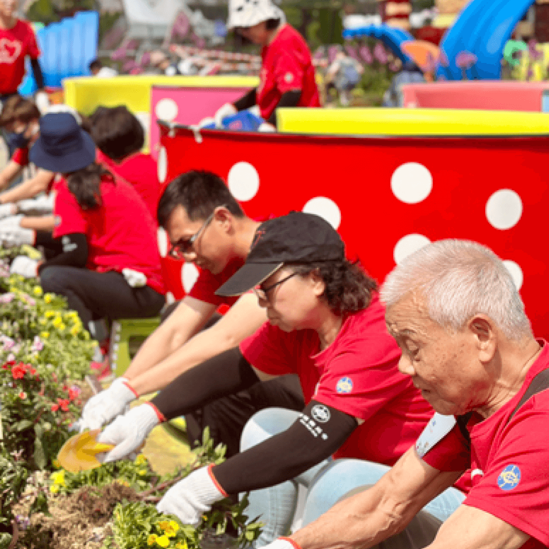 care hkjc volunteer team work with us