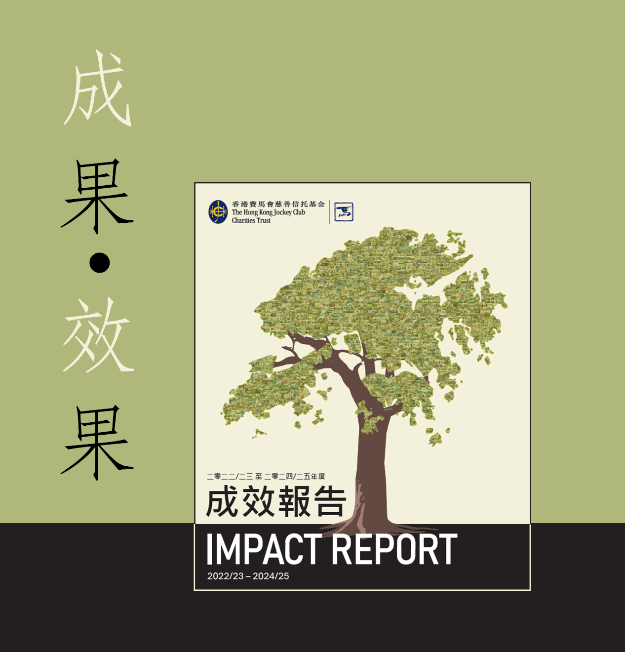 ImpactReport_CCH_Banner_Desktop_TC_Row2