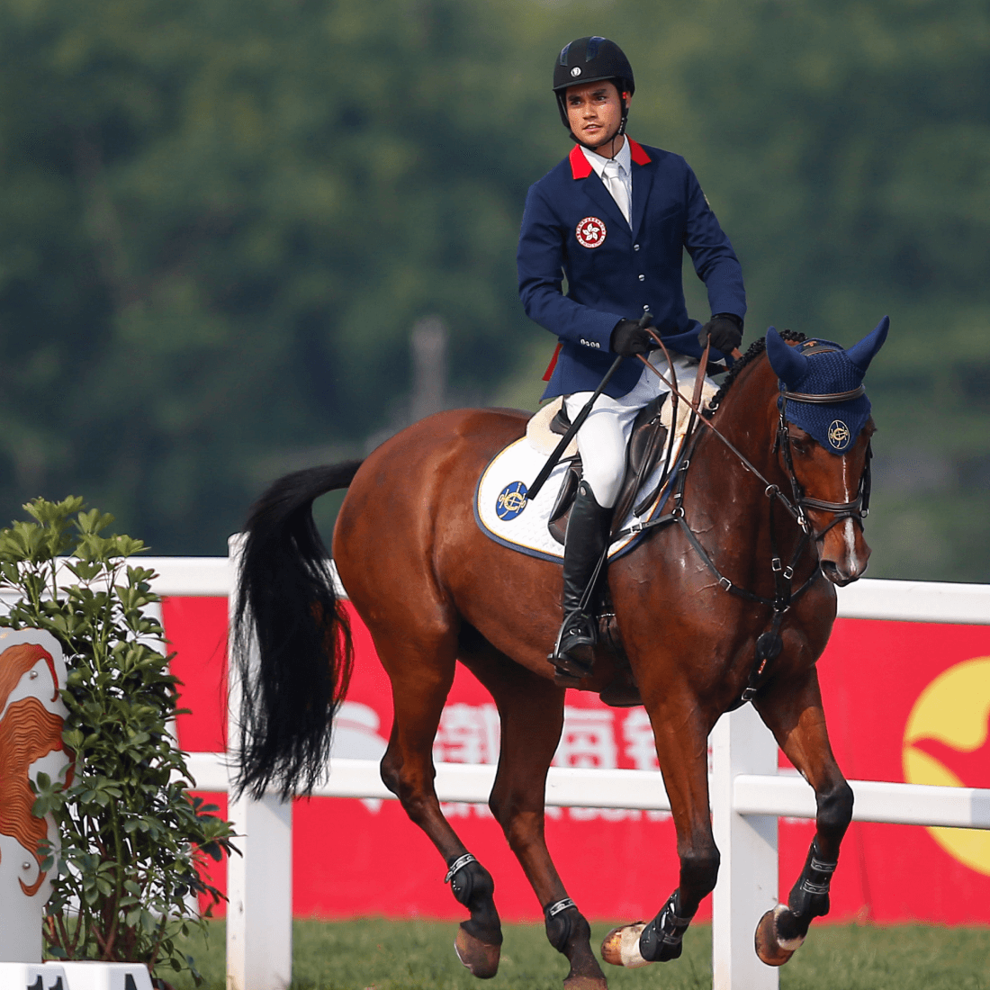 sports horse riding