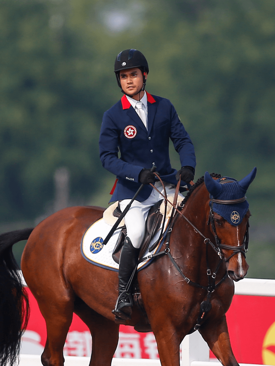 thomas ho in competition riding horse portrait image