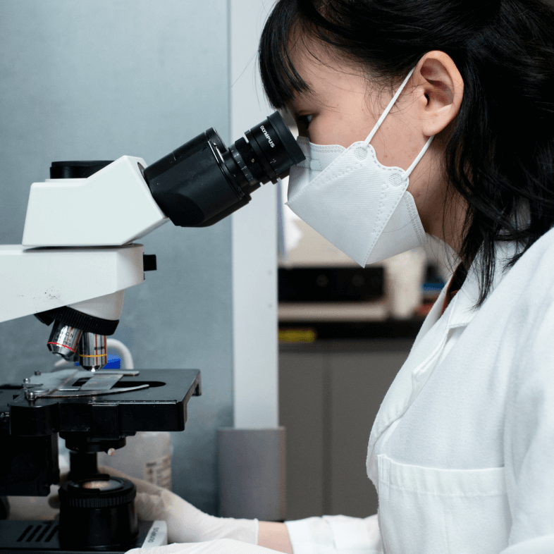 monica chan Using a microscope